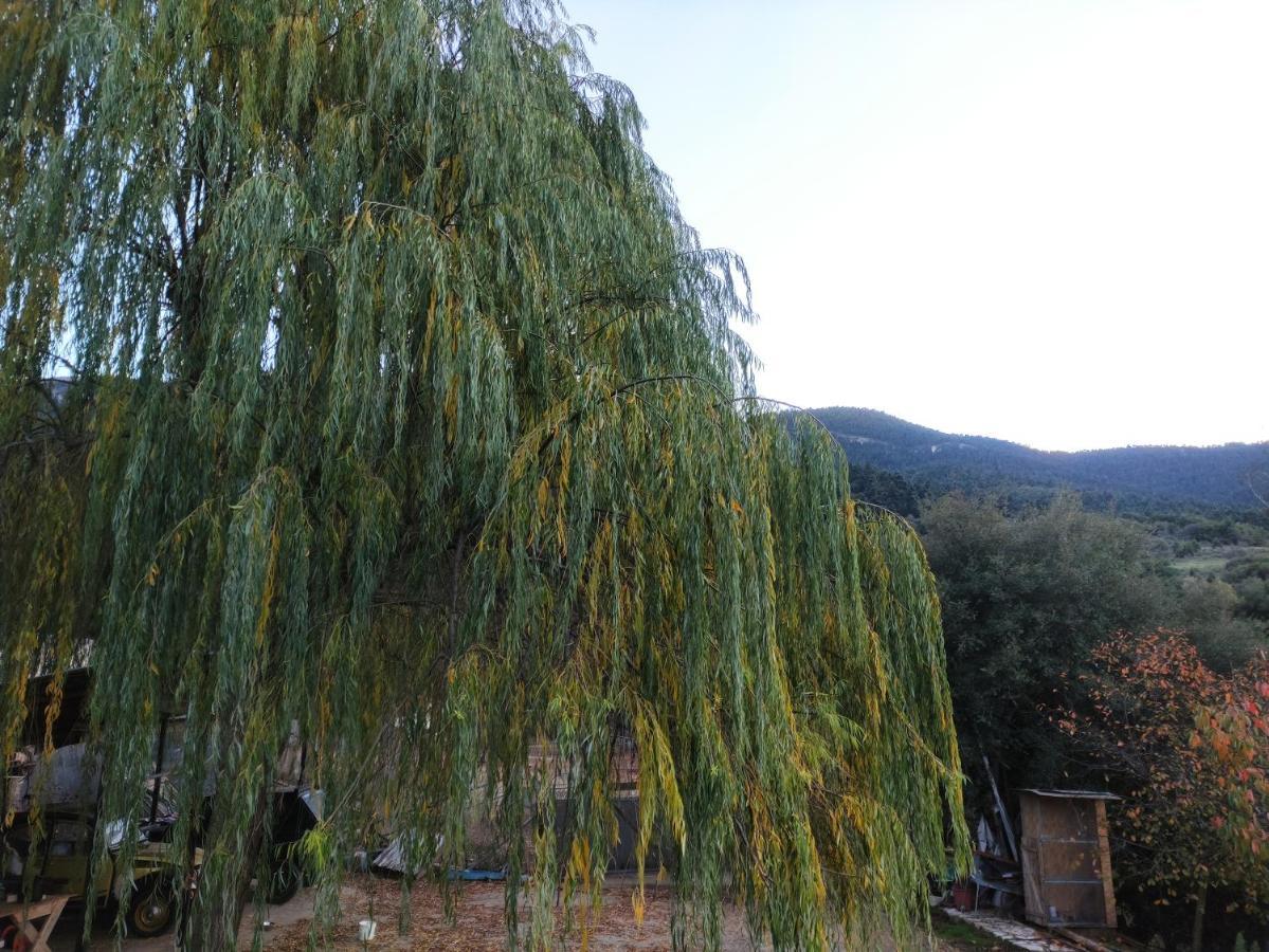 Oneiropagidasuites Kalavryta Extérieur photo